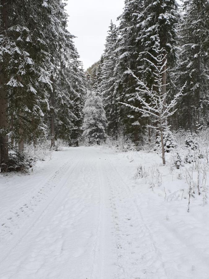 Ammerwald Alm Plansee Exterior foto