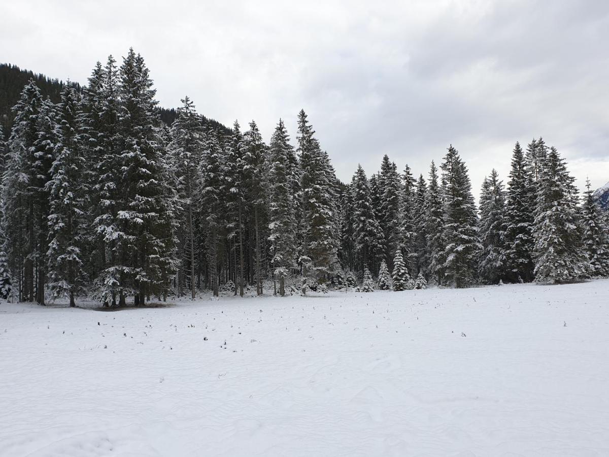 Ammerwald Alm Plansee Exterior foto