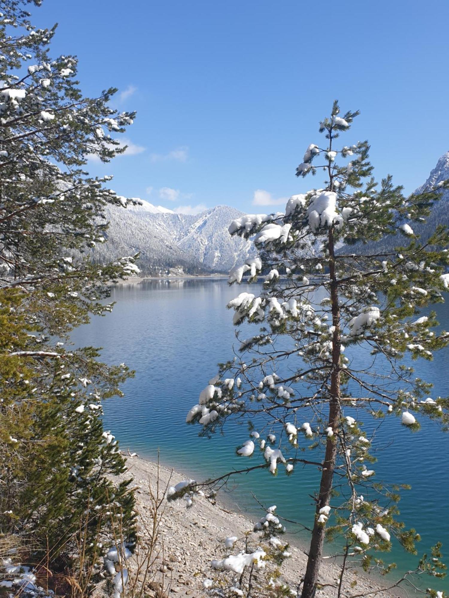 Ammerwald Alm Plansee Exterior foto